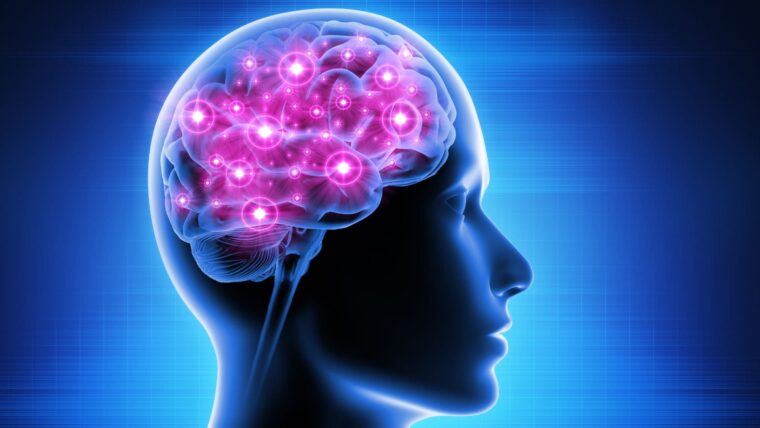 脳活動の測定方法(NIRS)について｜脳波×IT「ブレインテック」とは？メリットや活用例を徹底解説｜ダフトクラフト株式会社